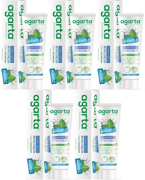 Doğal Diş Macunu 100ML Naneli (5 Li Set)