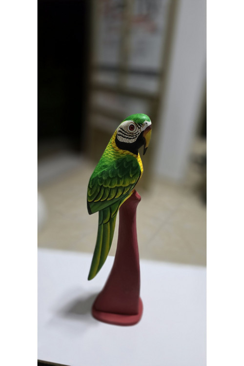 Den Çok Canlı Renkli 40 Cm Boy Papağan