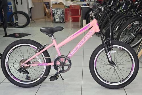 Lily 20 V Fren 6 Vites 20 Jant Kız Çocuk Bisikleti Pudra Pembe Mor