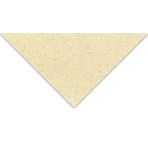 Tiziano Çok Amaçlı Fon Kartonu 160 gr. 50x65 cm 5'li Paket YUMURTA - ZABAIONE