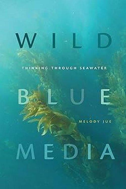 Wild Blue Media (Elements)