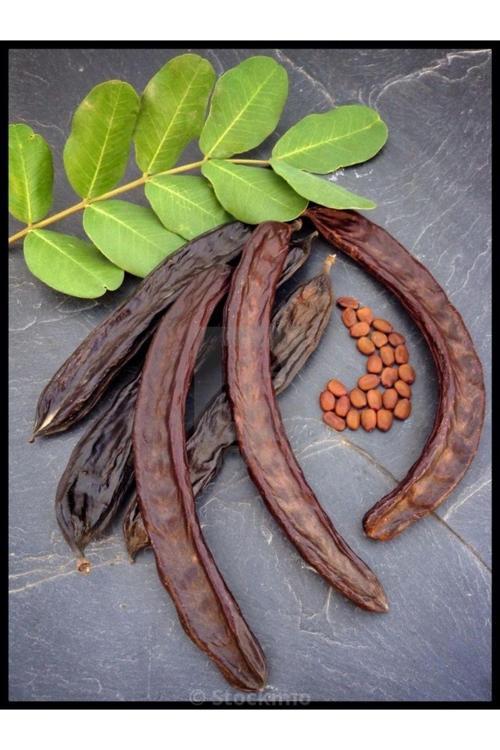 1 Kg Keçi Boynuzu,Yemelik, Yumşak (Harnup Meyvesi )