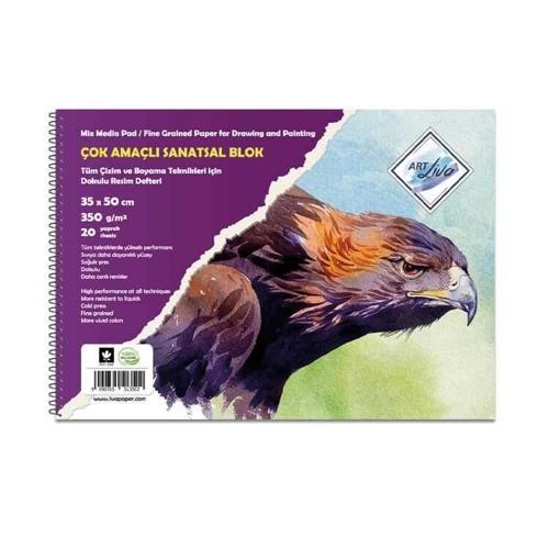 Çok Amaçlı Dokulu Sanatsal Resim Defteri 350 gr. 35x50 cm. 20 yaprak