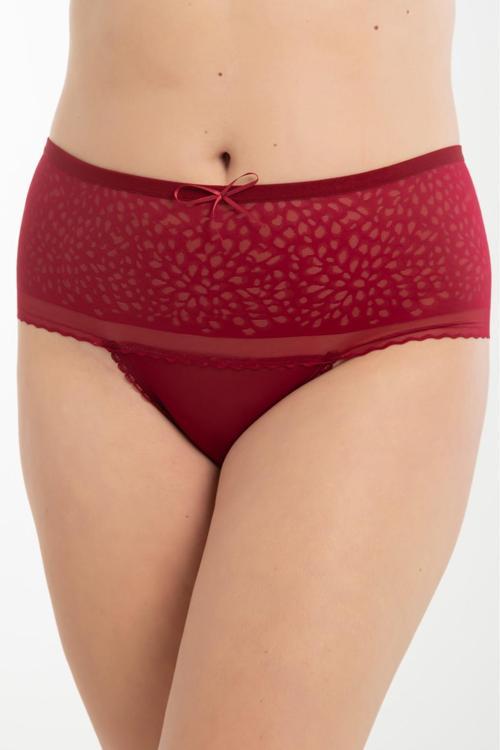 Büyük Beden Transparan Fantezi Dantelli Kadın Külot