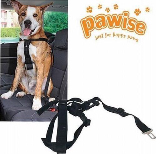 Emniyet Kemer Tokalı Köpek Tasması XL 80-110 Cm