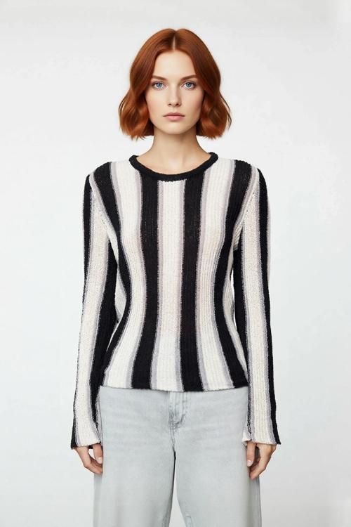 Kadın Basic Bisiklet Yaka İnce Triko Renk Bloklu Uzun Kollu Pamuk Polyester Karışımlı Kazak