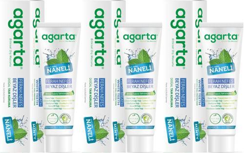 Doğal Diş Macunu 100ML Naneli (3 Lü Set)