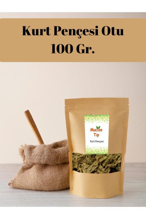 Kurt Pençesi Otu 100 Gr.