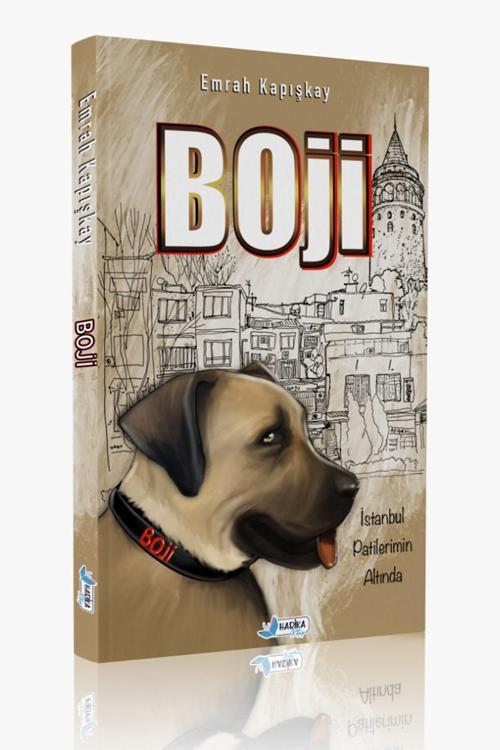 Boji - Istanbul Patilerimin Altında - Emrah Kapışkay