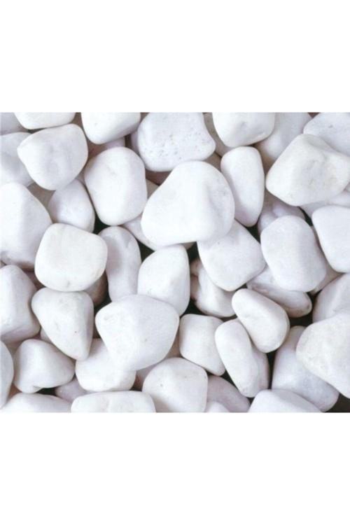 Dolamit Taş 20 Kg 4-6 Cm Dolomit Dekoratif Peyzaj Süs Taşı