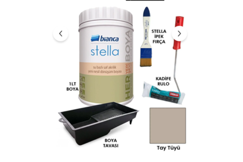 Stella Boya 4 Parçalı Set ( 1Lt Boya - Boya Tavası- Stella İpek Fırça - Kadife Rulo )