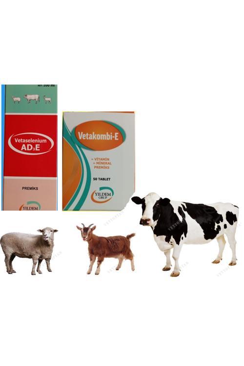 Büyükbaş Ve Küçükbaş Hayvanlarınız Için Vitamin Seti (Vetakobil- E 50 Tablet Ad3E Vitamini 100 Ml)