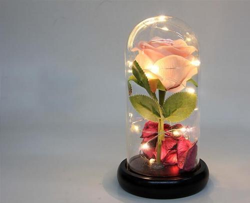 Fanus Çiçek 19/10cm Cam Fanus Hediyelik Led Işıklı