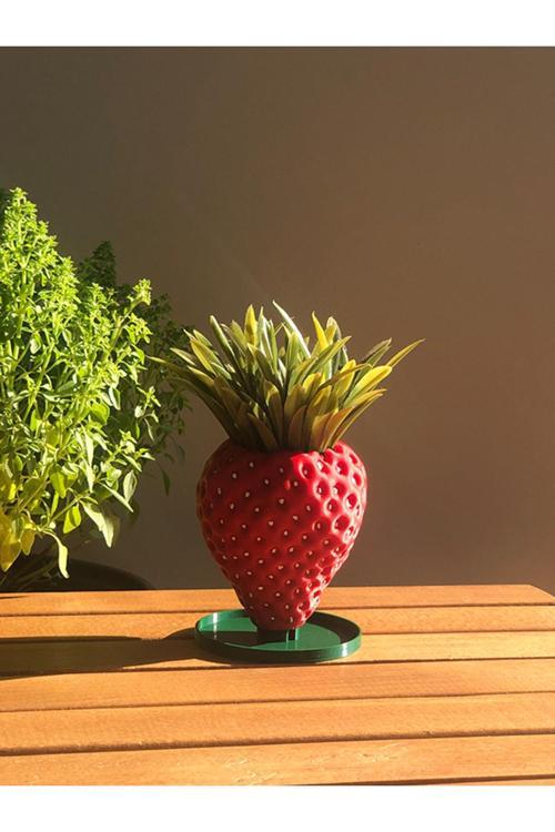 Çilek Mini Sukulent Saksısı - 7Cm - Bioplastik