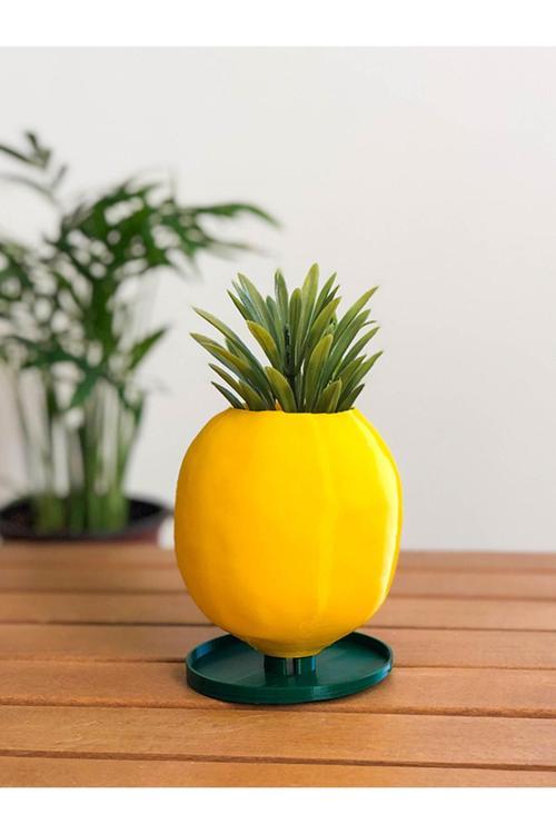 Limon Sukulent Saksısı - 8Cm - Bioplastik