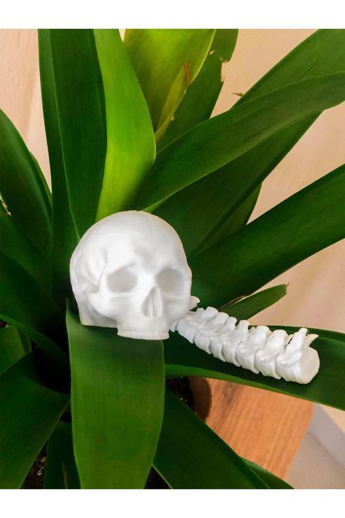 Predator Insan Kafatası Ödülü Beyaz Renk - Hareketli Kafatası Ve Omurga Mini Figür - Bioplastik