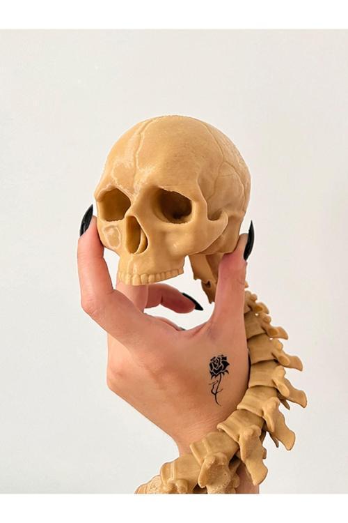 Predator Insan Kafatası Ödülü Hareketli Kafatası Ve Omurga Figür - Bioplastik