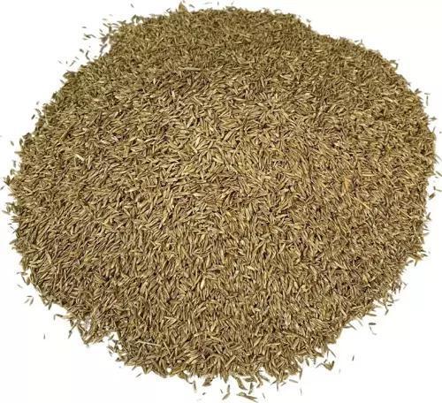 6 Karışımlı İthal Çim Tohumu 10 Kg