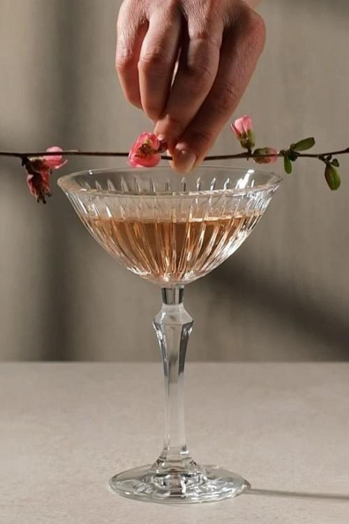 440310 Joy 4 Lü Kadeh 220 cc 1205689