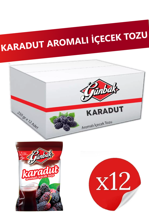 Karadut Aromalı Toz İçecek 250 gr x 12 Adet