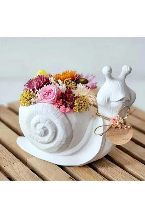 Dekoratif Salyangoz Tasarım Saksı