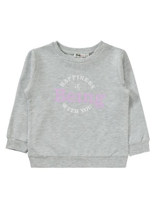 Basic 2'li 2-5 Yaş Eşofman Takımı - Gri 2-3 Yaş