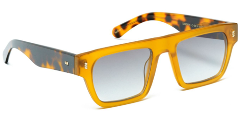 DARVIN C3 54 Erkek Güneş Gözlüğü