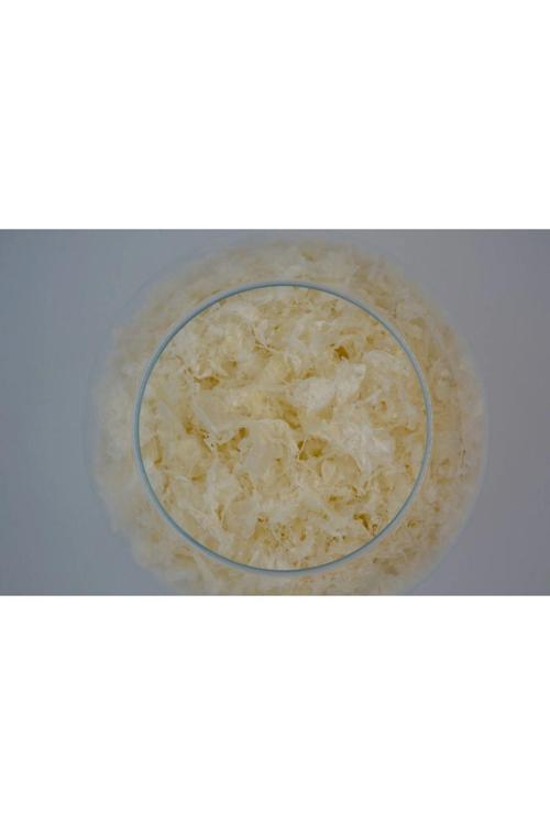 Kitosan (Chitosan) 250 Gr - %80-85 Deaselitasyon Toz Form