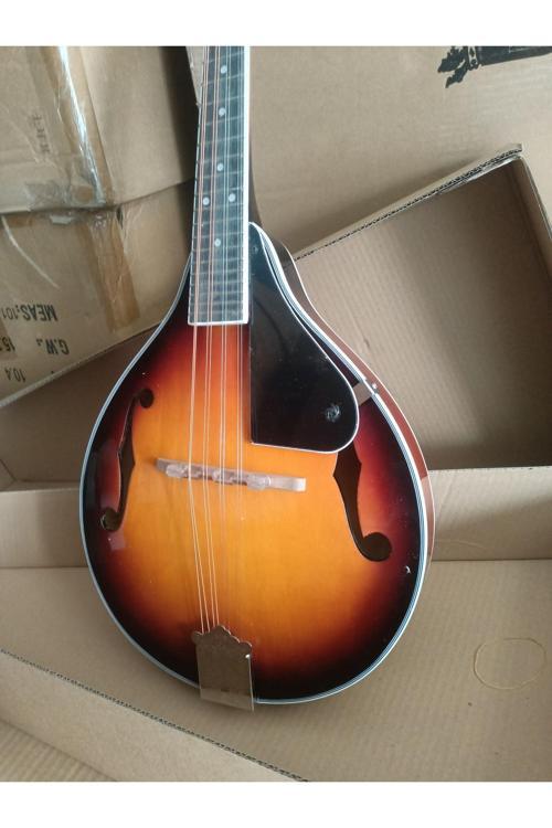 Kaliteli Student Model Standart Mandolin