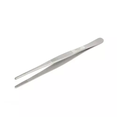 Standart Pansuman Penseti. 16 cm / 6.3