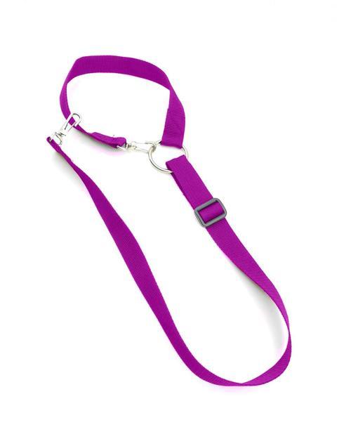 Koltuk Başlığına Takılan Emniyet Kemeri Mor