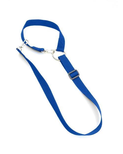 Koltuk Başlığına Takılan Emniyet Kemeri Mavi