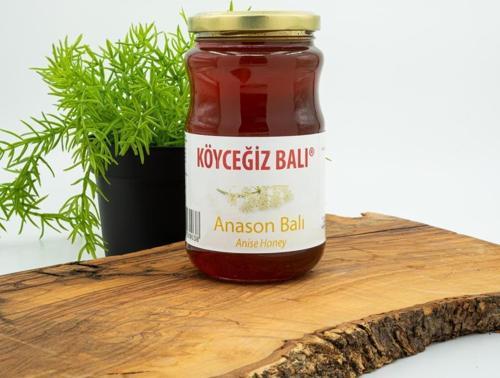 Anason Balı 450 G Cam Kavanoz