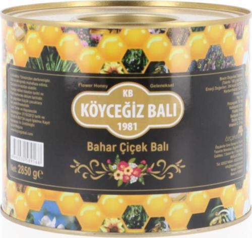 Bahar Çiçek Balı 2850 G Teneke