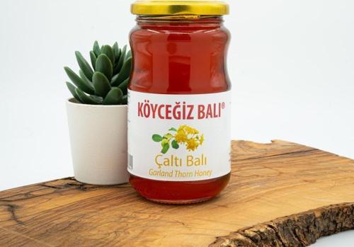 Çaltı Balı 450 G Cam Kavanoz