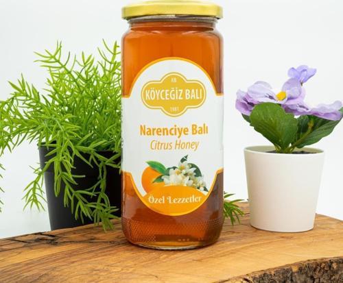 Narenciye Balı 660 G Cam Kavanoz