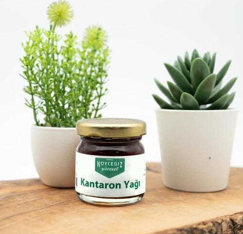 Kb Köyceğiz Yöresel Kantaron Yağı 33 ML