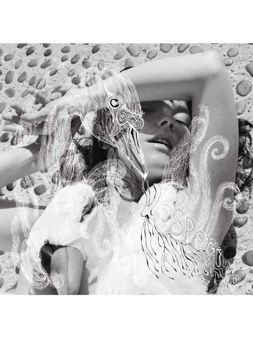 Björk - Vespertine (Plak)