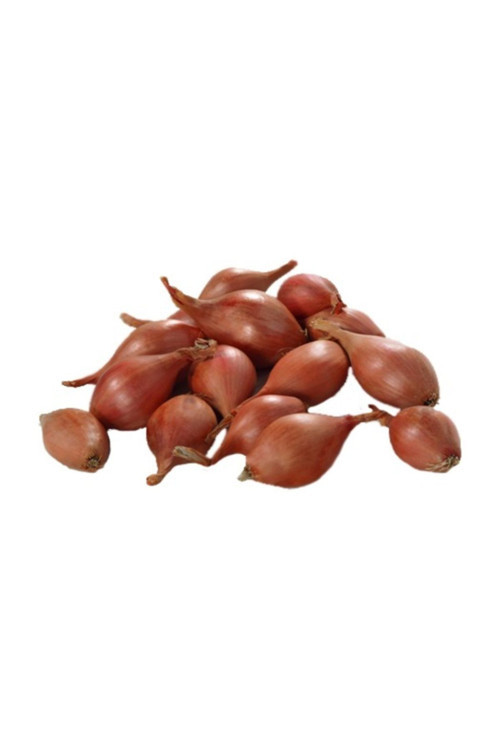 Kıska Soğan 5kg Arpacık Soğan Iska Soğan Tohumu