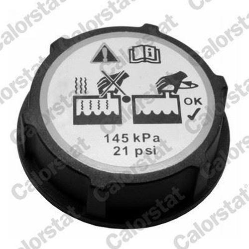 YEDEK SU DEPO KAPAGI FREELANDER 2 L359 R.R EVOQUE L538 L551 JAGUAR E-PACE 10540 FORD B-MAX C-MAX FIESTA FOCUS GALAXY KUGA MONDEO VOLVO S40 S60 S80 S90 C70 C30 DG938101AA 5193938 3M5H8100AD