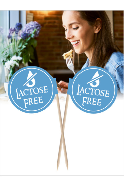 Lactose Free, Laktozsuz Yazılı . Sağlıklı Yemek, Gıda Uyarı Bayrakları 10Cm, 30 Adet