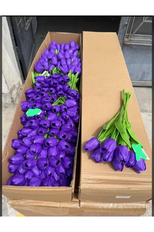 6Lı Vazoya Koymalık Sarı Lale