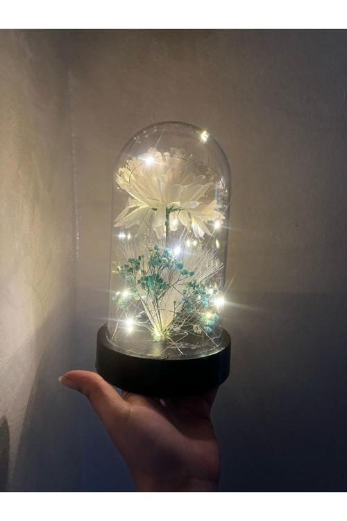 Kasımpatı Işıklı Fanus