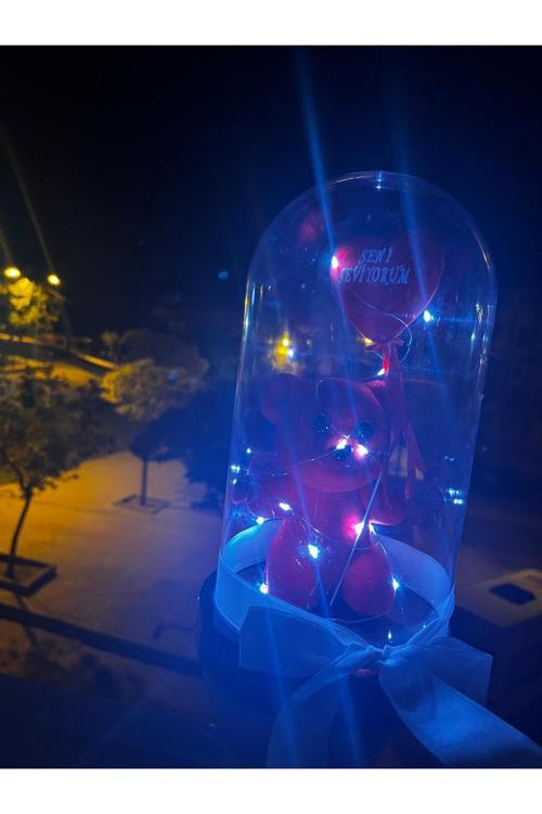 Kırmızı Ayıcıklı Özel Gün Hediyesi Cam Fanus