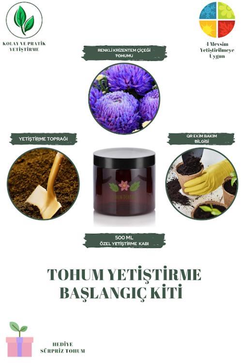 Renkli Krizentem Çiçeği Tohumu Yetiştirme Kiti