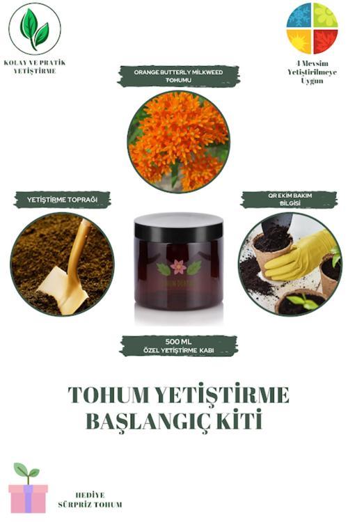 Orange Butterly Milkweed Tohumu Yetiştirme Kiti