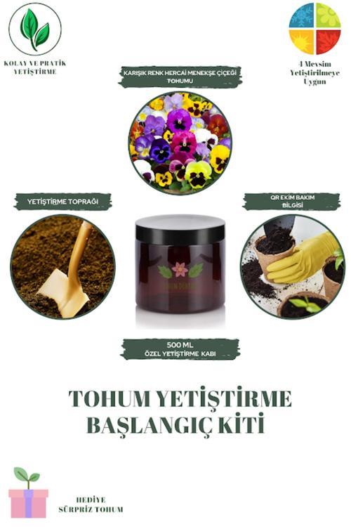 Karışık Renk Hercai Menekşe Çiçeği Tohumu Yetiştirme Kiti