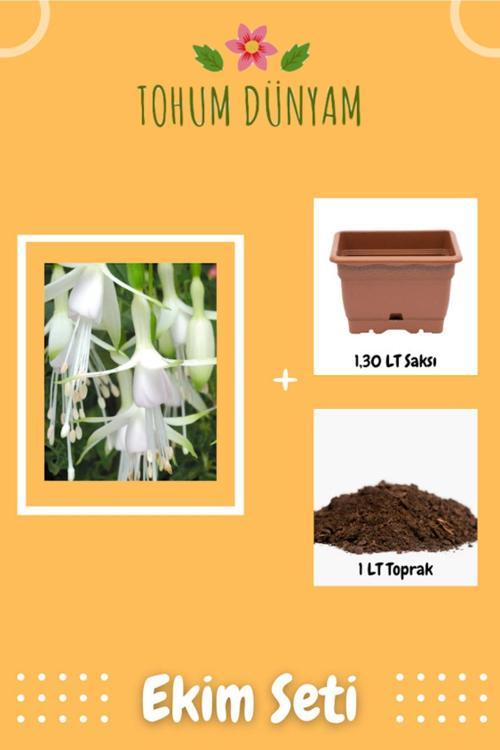 Nadir Beyaz Küpe Çiçeği Tohumu Ekim Seti
