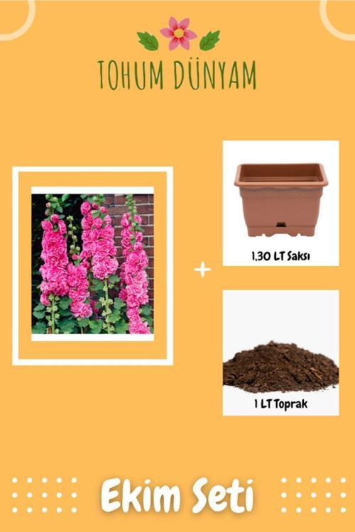 Pembe Renkli Katmerli Gül Hatmi Çiçeği Tohumu Ekim Seti