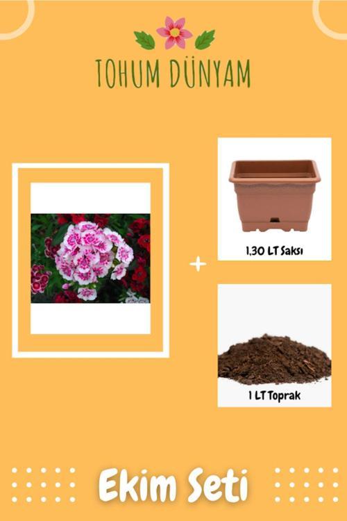 Çin Karanfili (Kokulu) Tohumu Ekim Seti